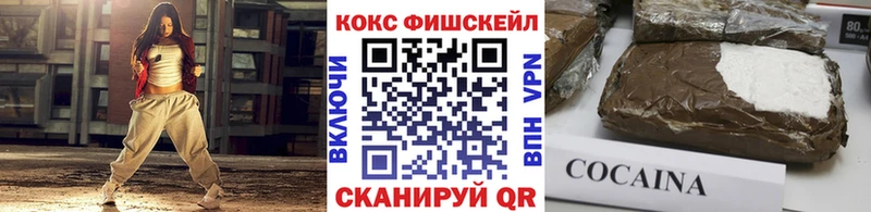 COCAIN Fish Scale  где продают наркотики  Никольск 
