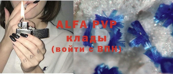 сатива Михайлов
