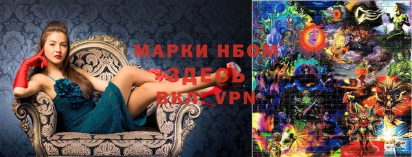 индика Михайловск