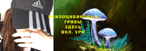 твердый Михайловка