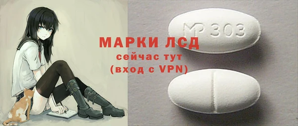 индика Михайловск