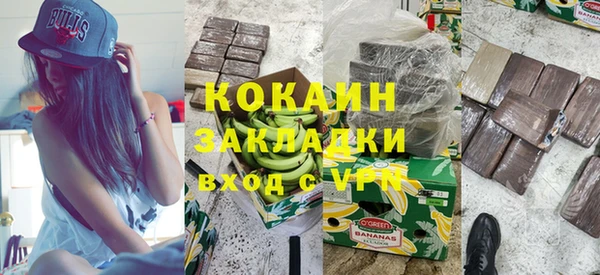сатива Михайлов