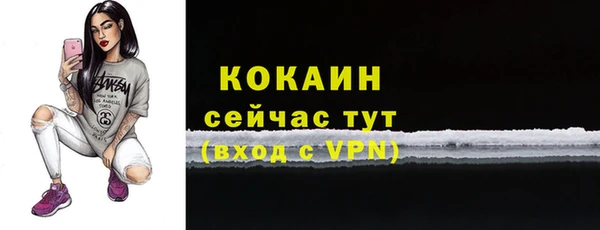 индика Михайловск