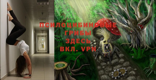 индика Михайловск