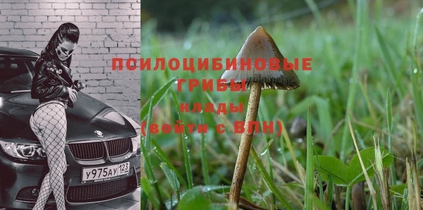 крисы Навашино