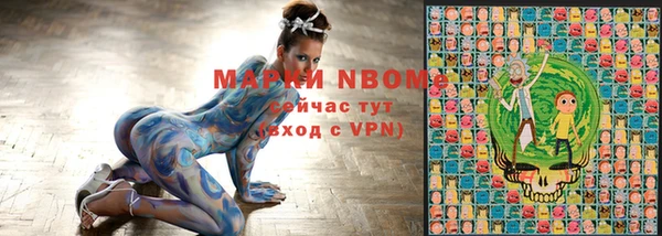 индика Михайловск