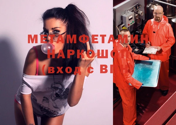 индика Михайловск