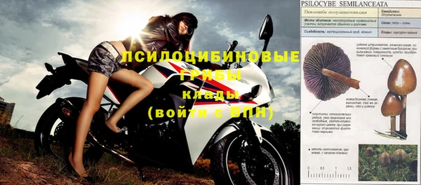 2c-b Надым