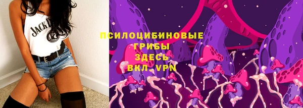 сатива Михайлов