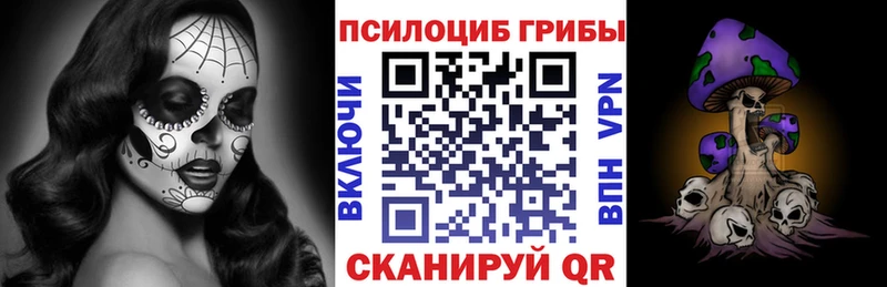 Галлюциногенные грибы Psilocybine cubensis  Никольск 
